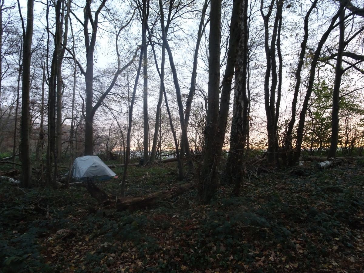 Camping in the forest close to Vaals [picture made by Bas Mulder]