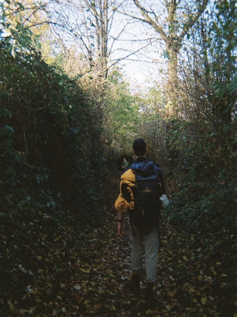 Beautiful forests along the trail [picture made by Kate Brooks]