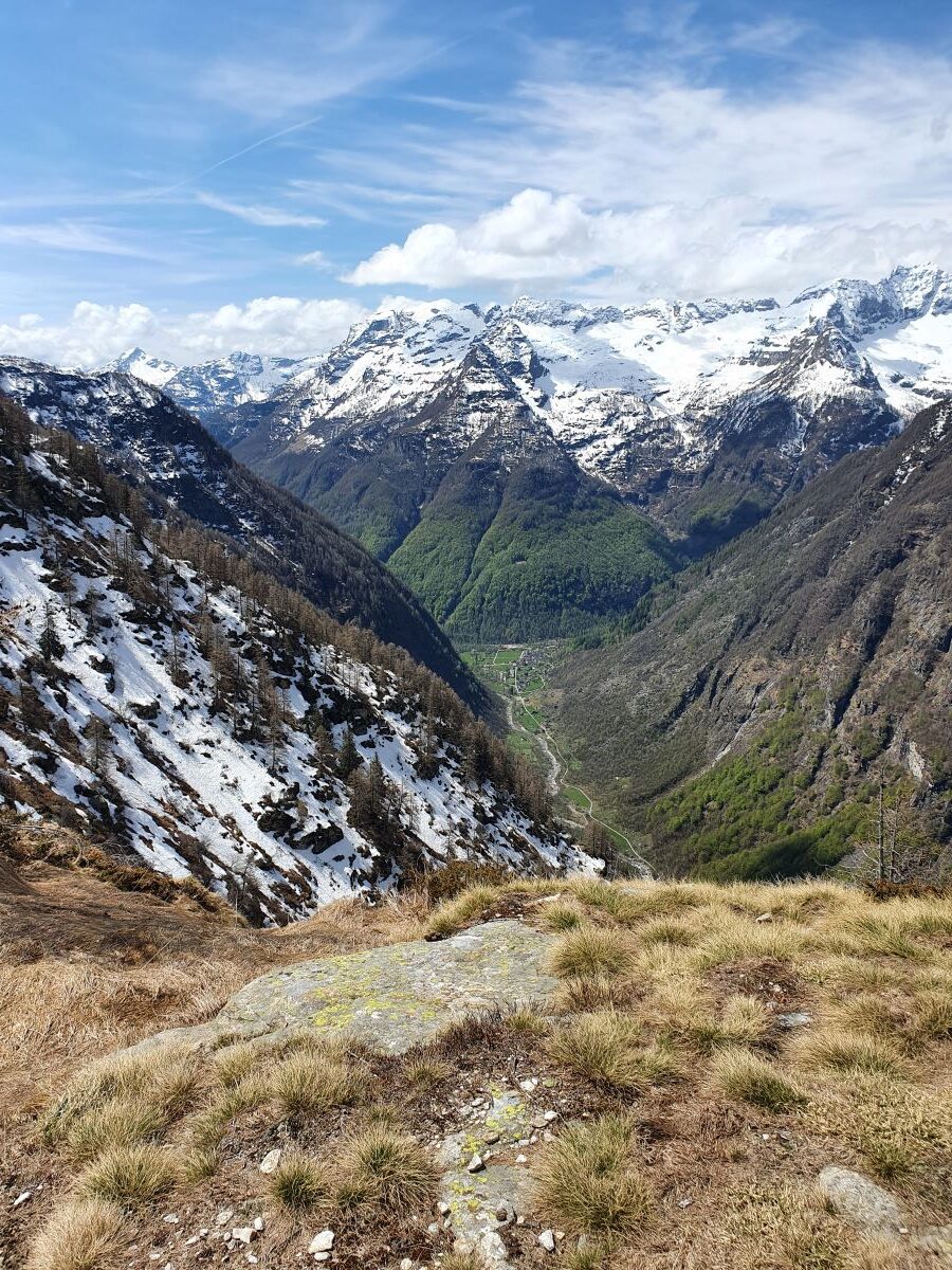 View on the Verzasca river valley [picture made by Sofia Tynelius]