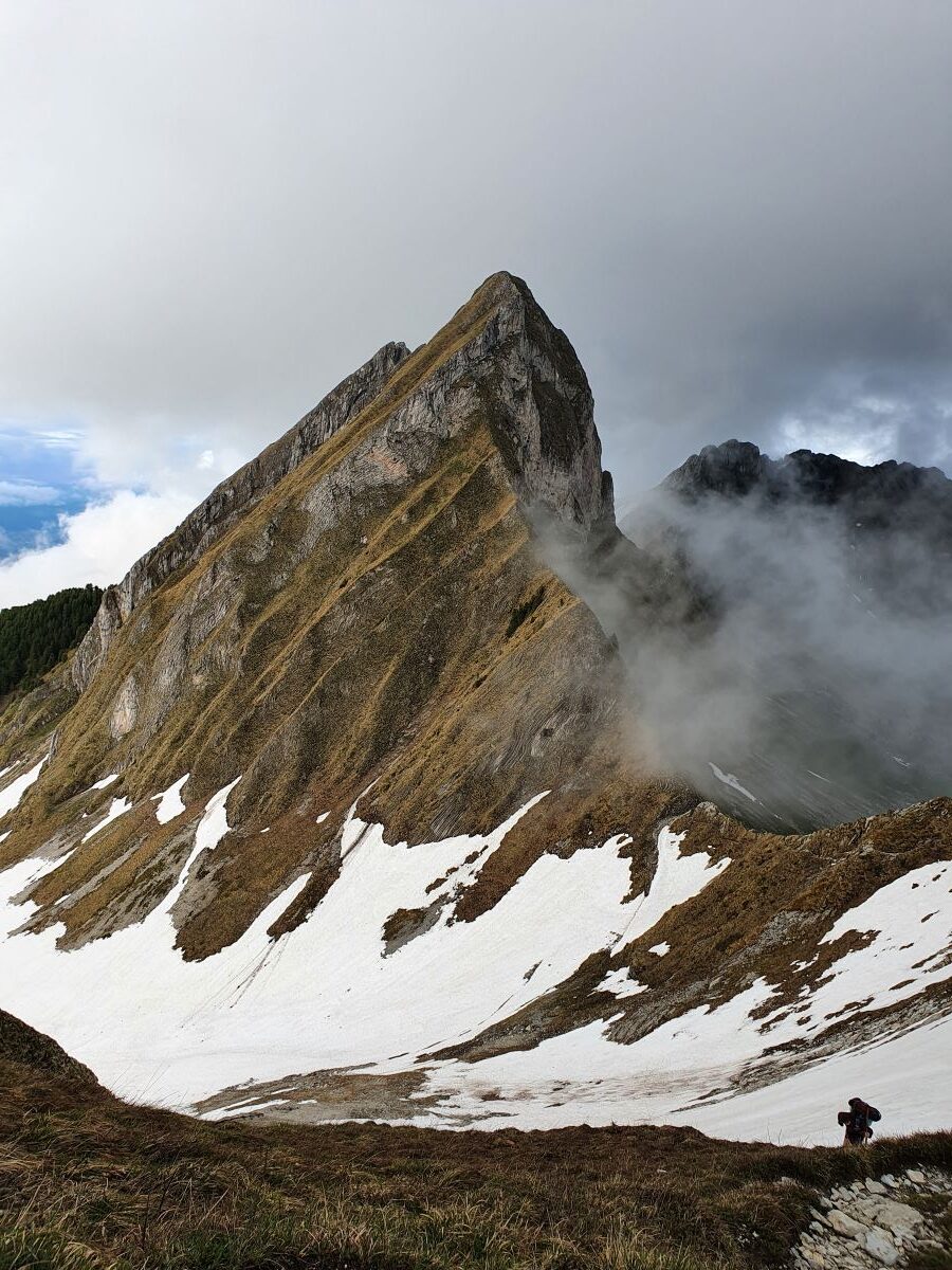 View on the ridge [picture made by Sofia Tynelius]