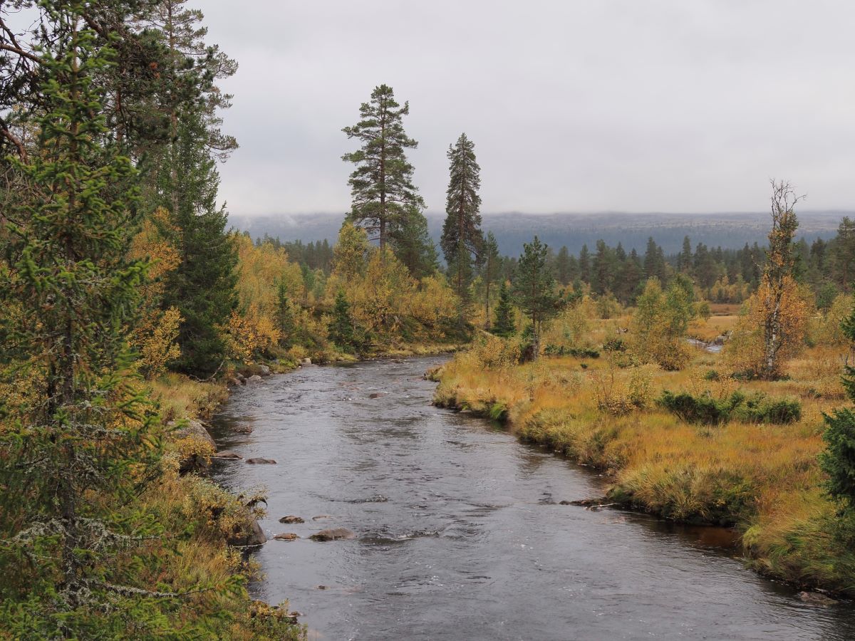 Villa river surrounded by beautiful autumn colors in the Osdalen nature reserve