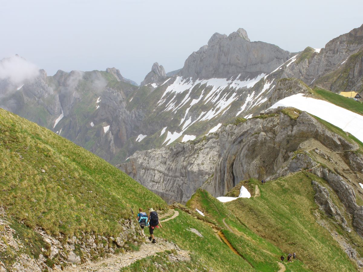 Ridge surrounded by limestone outcrops around Säntis. [picture made by Emme Perreve]