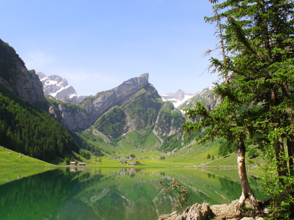 Seealpsee surrounded by limestone cliffs in Appenzell [picture made by Emme Perreve]