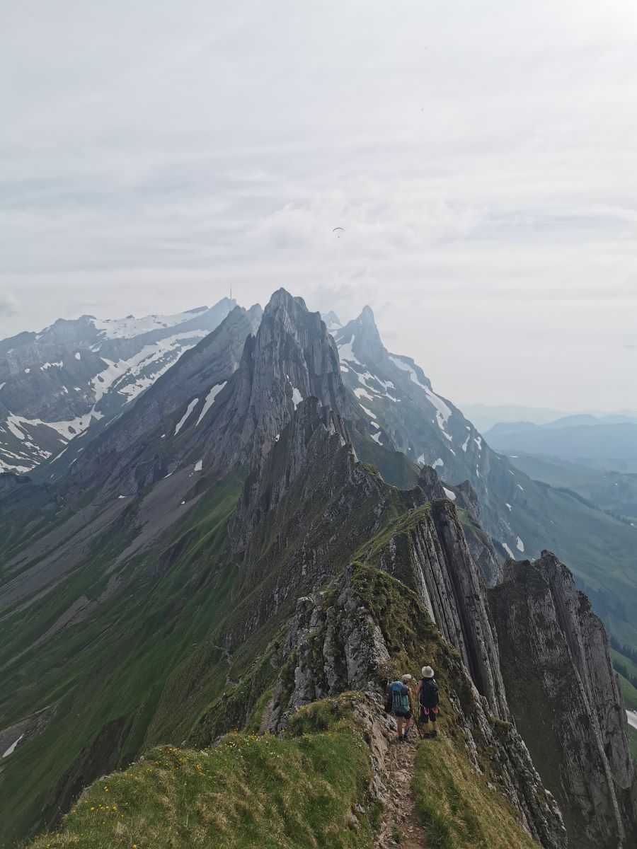 The almost vertical limestone layers close to Säntis [picture made by Sigmund Hennmum Høeg]