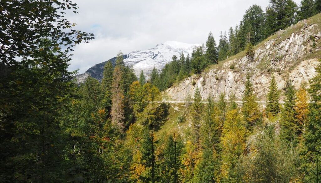 View on the Karwendel spitze with autumn colored pine trees in austria.